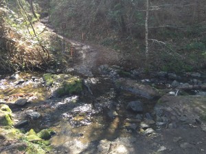 AmCanyon creek